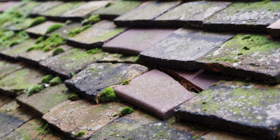 Bream roof repair costs